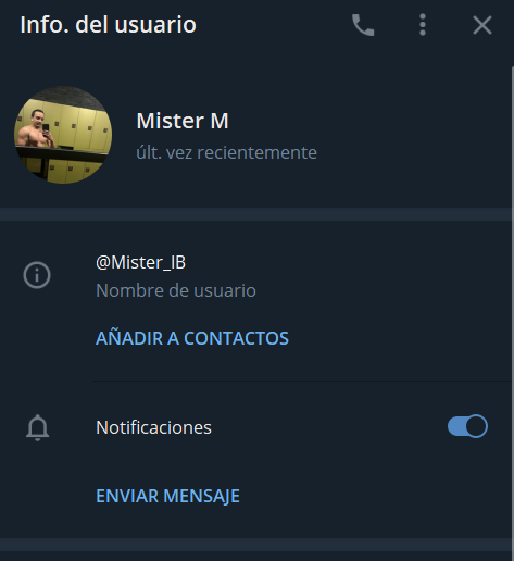 Captura del perfil ‘Mister_IB’ identificado como el posible propietario del grupo de Telegram usado en la estafa
